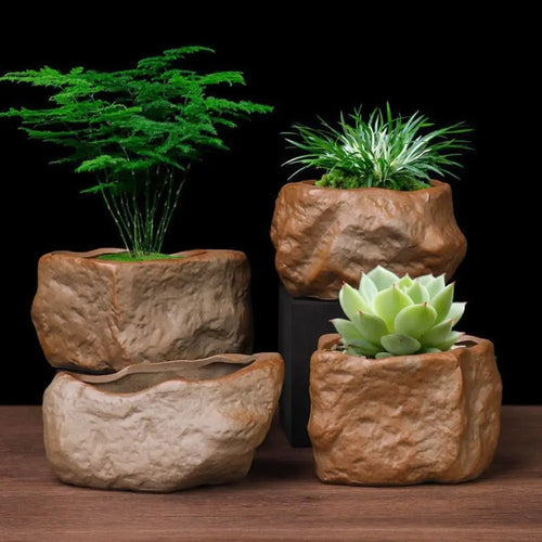 Botanicals